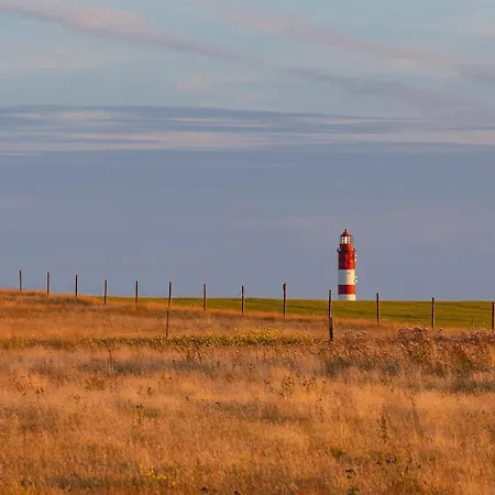 Reetdachhaus Skagen Tatil Evi