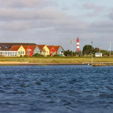 Reetdachhaus Skagen Nebel