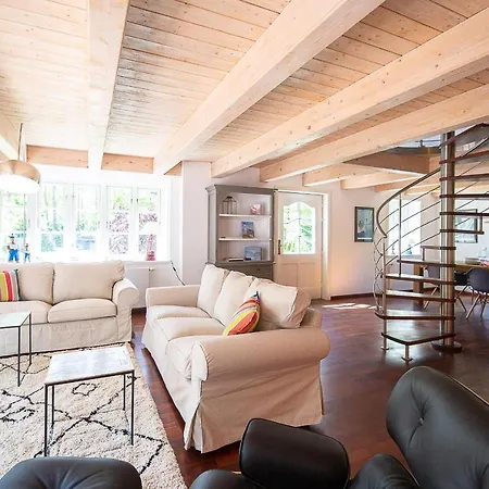 Reetdachhaus Skagen * Nebel