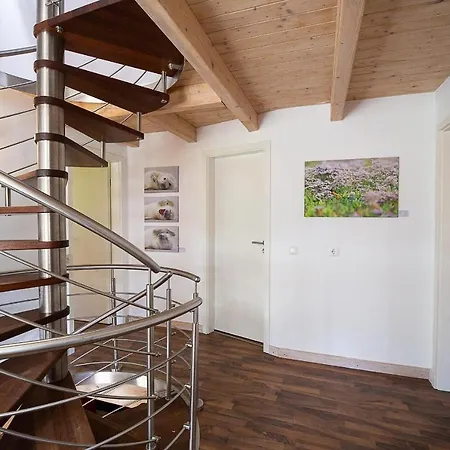 Reetdachhaus Skagen Tatil Evi