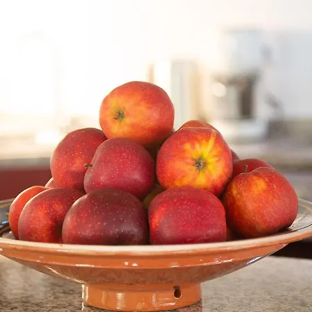 Ferienhaus Reetdachhaus Skagen *
